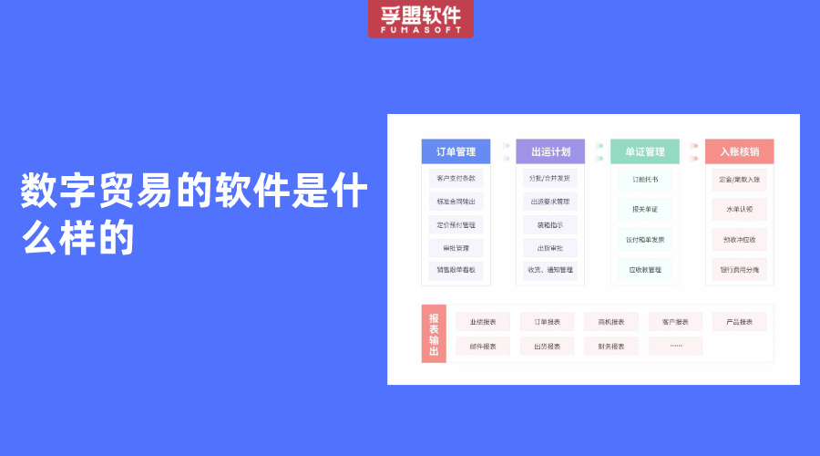 數字貿易的軟件是什么樣的